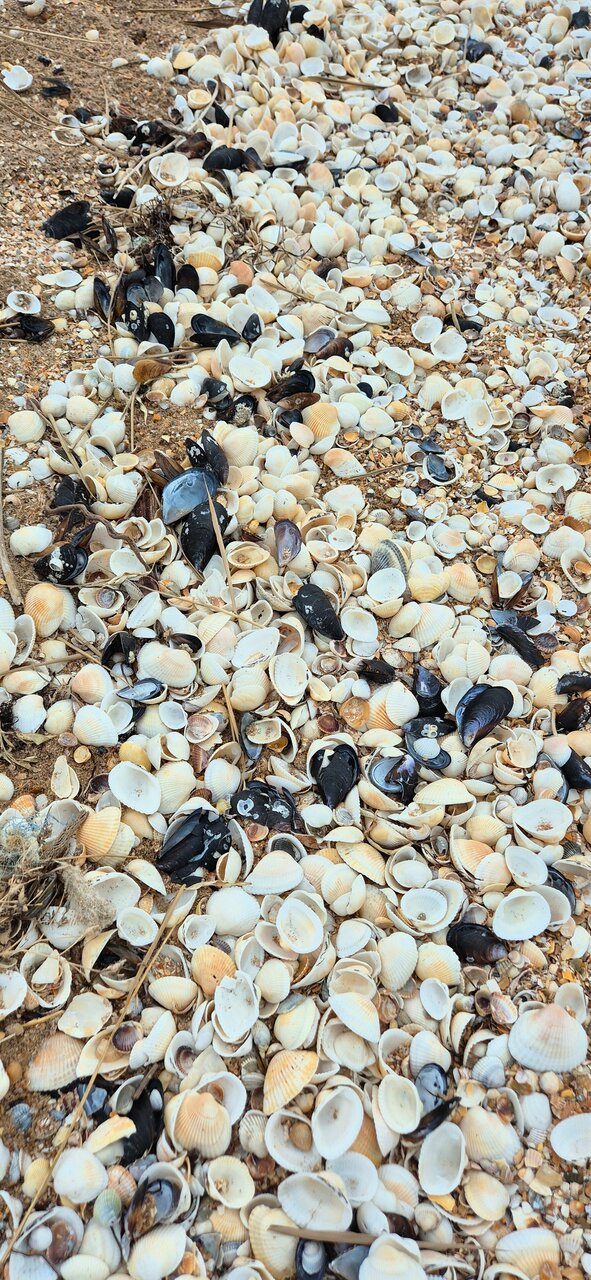 Гостиница La Grace Керчь-171