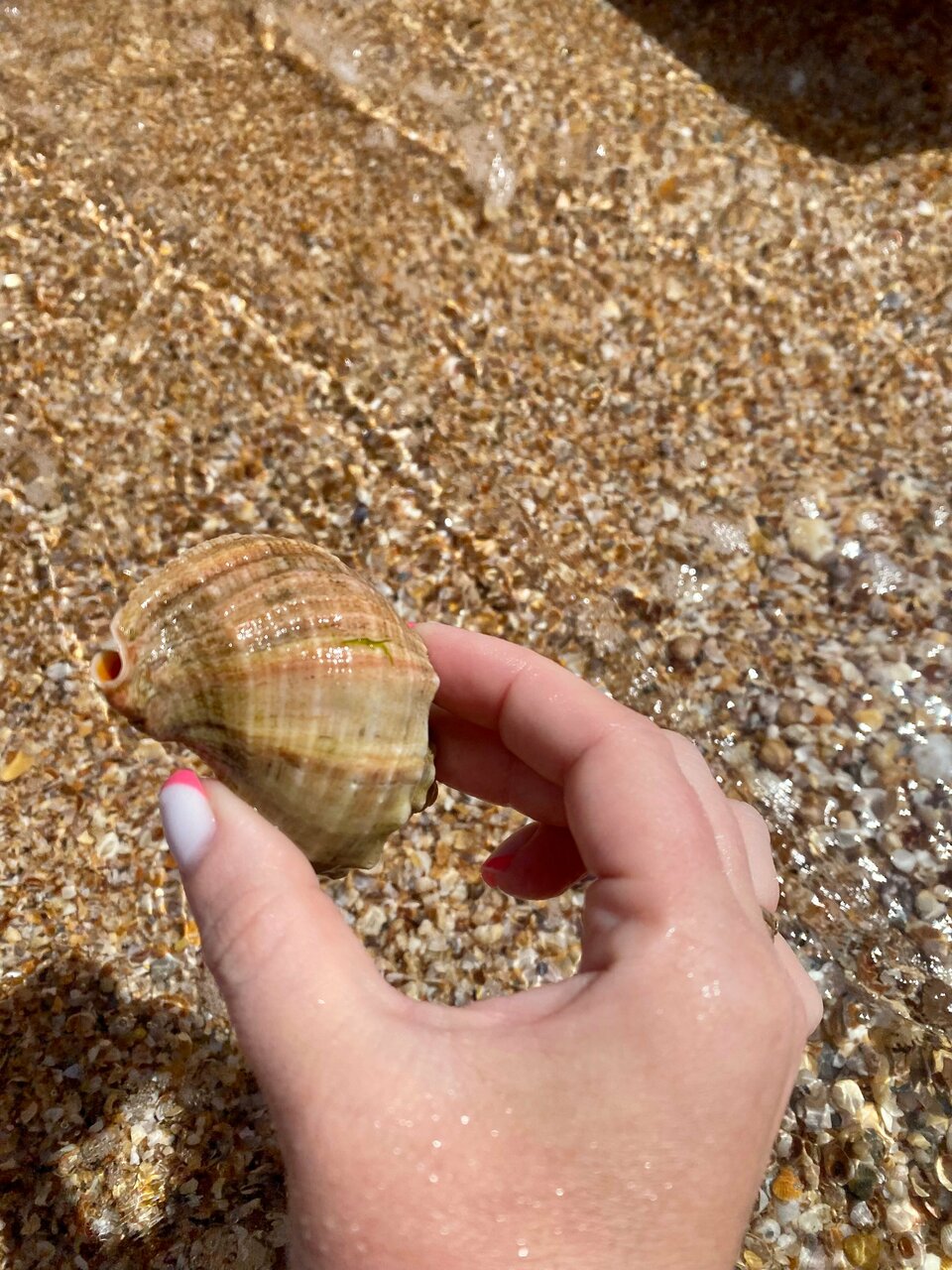 Гостиница La Grace Керчь-240