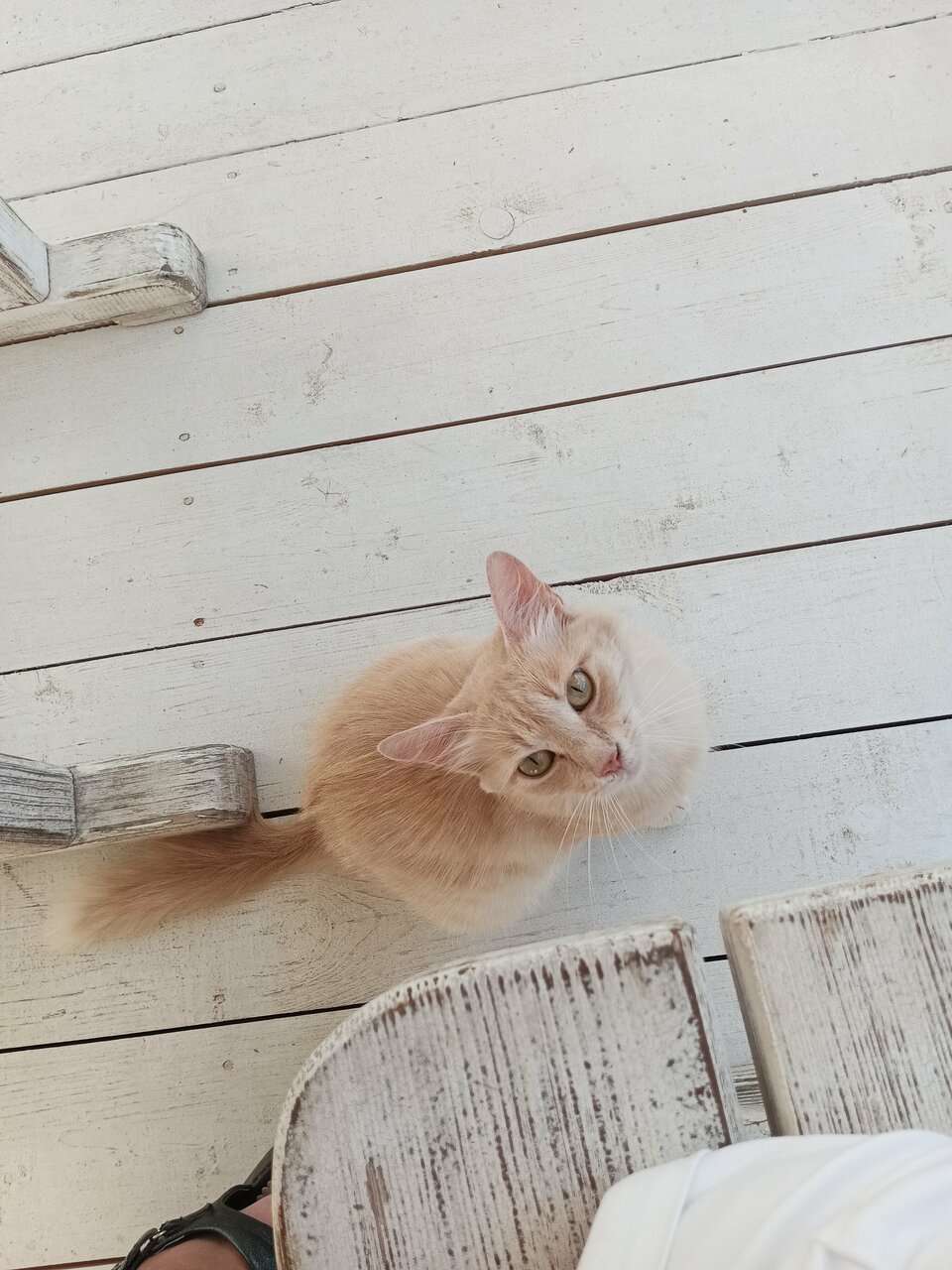 Гостиница La Grace Керчь-149