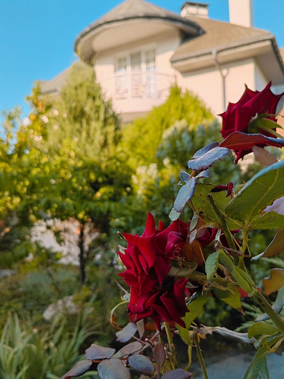 Гостиница La Grace Керчь-143