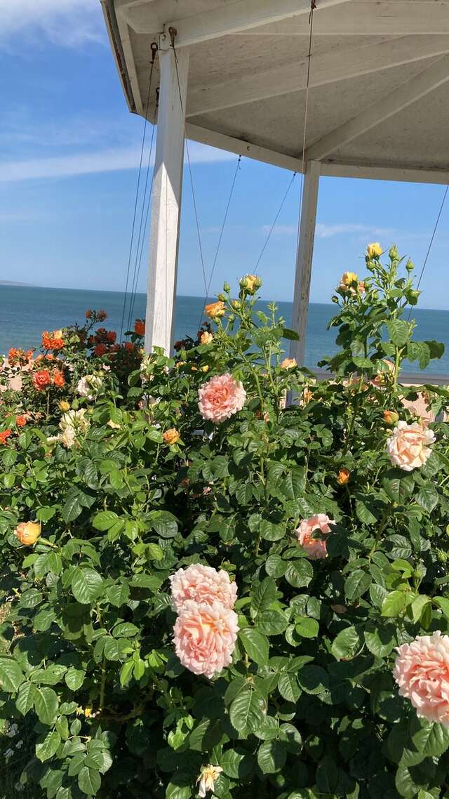 Гостиница La Grace Керчь-135