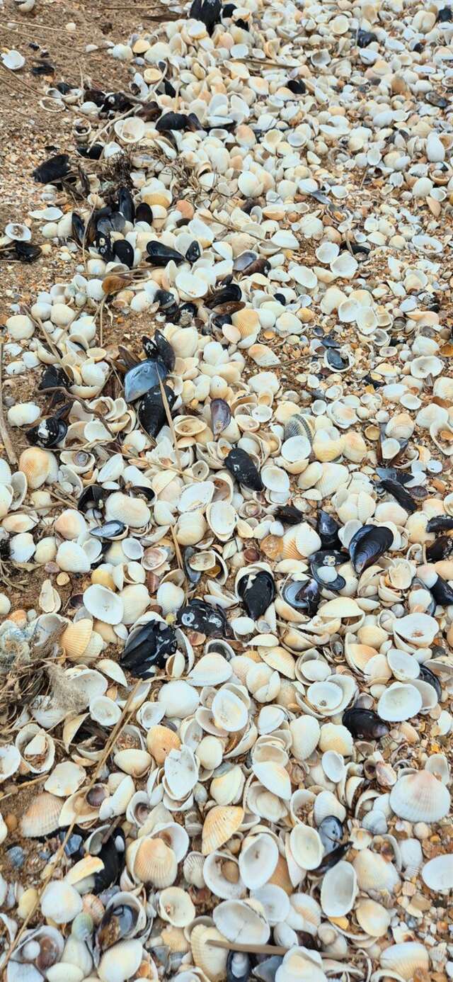 Гостиница La Grace Керчь-170