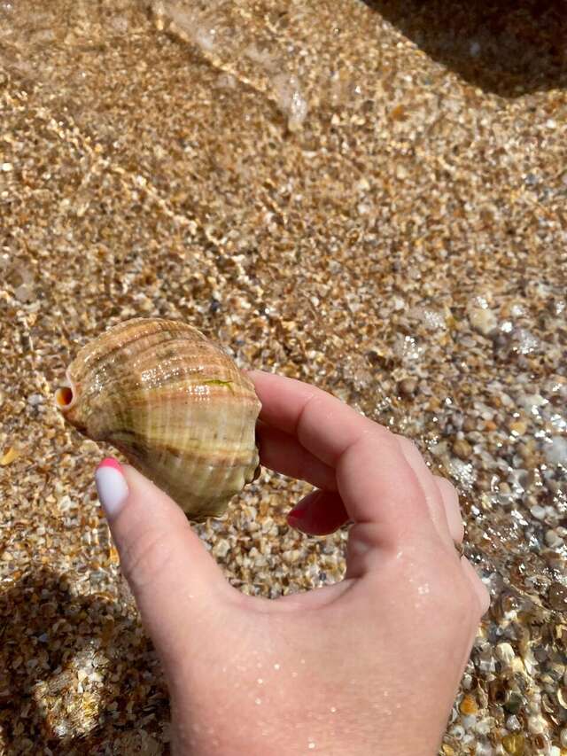 Гостиница La Grace Керчь-239