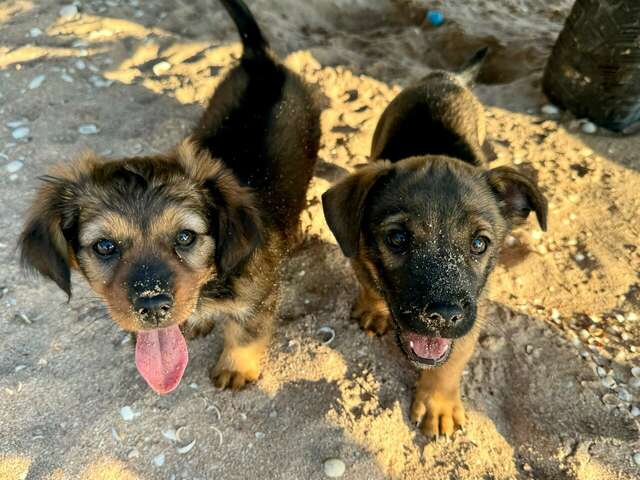 Гостиница La Grace Керчь-141