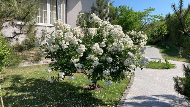 Гостиница La Grace Керчь-121